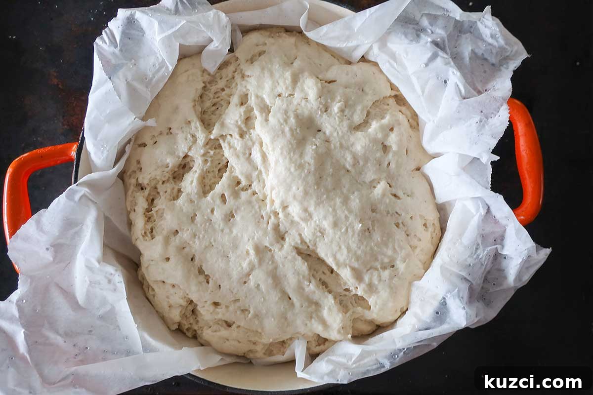 portuguese dough in a pot after proofing