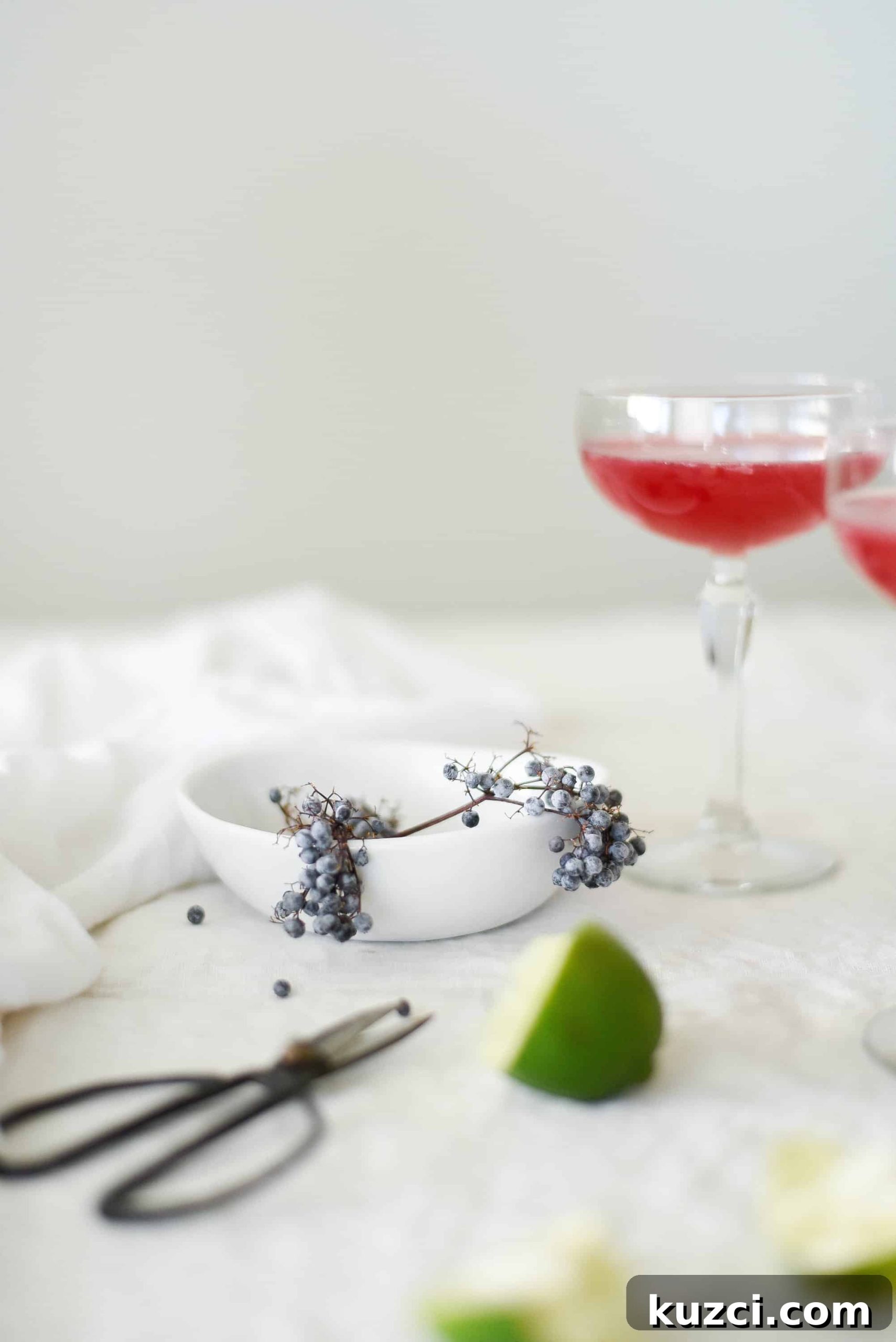 Elderberry Syrup Cocktail Recipe 2 img 2436 1 scaled