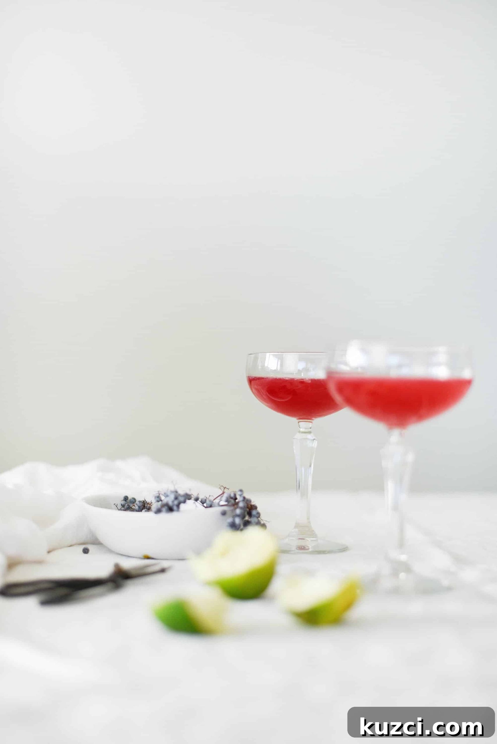 Elderberry Syrup Cocktail Recipe 3 img 2436 2 scaled
