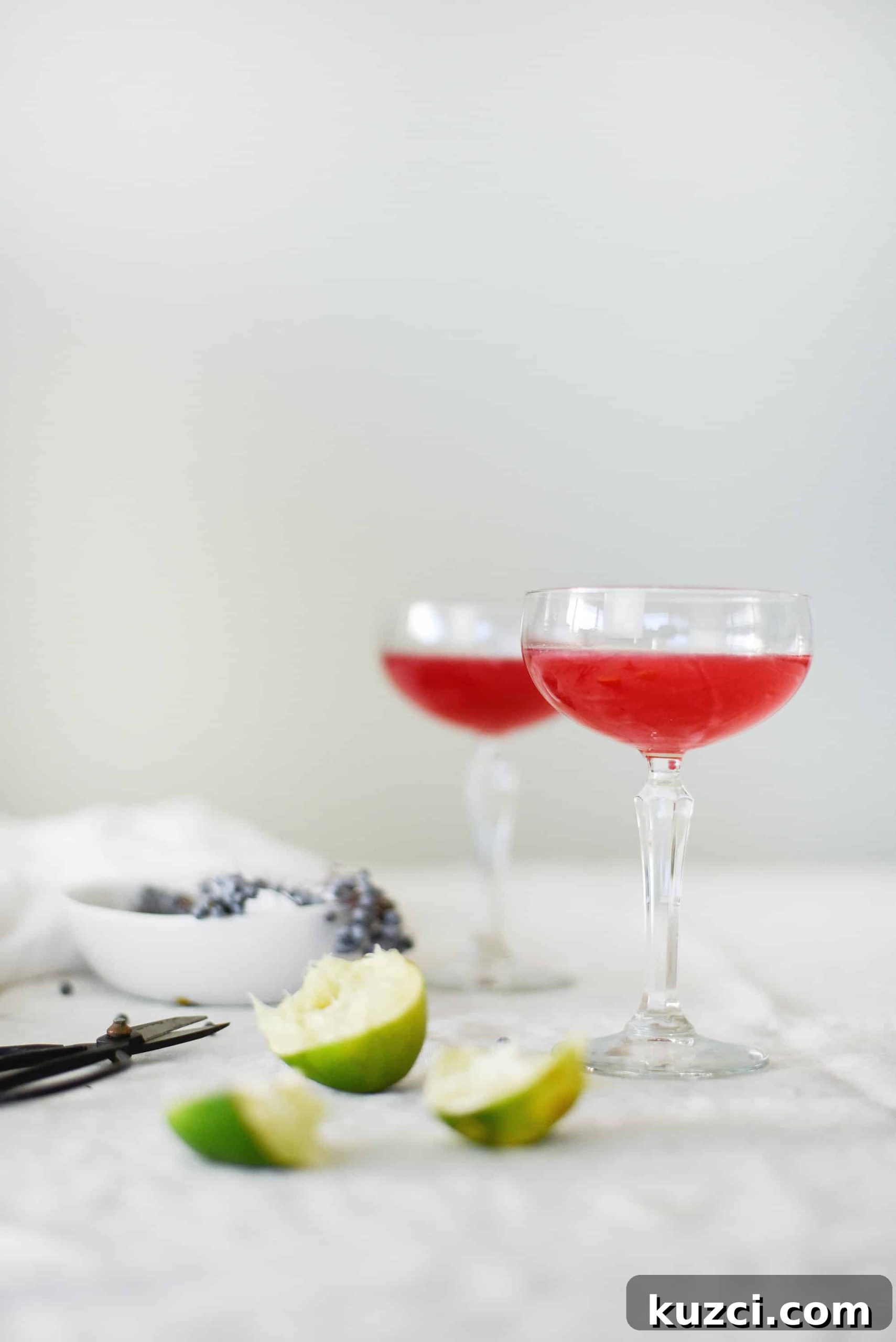 Elderberry Syrup Cocktail Recipe 5 img 2436 4 scaled