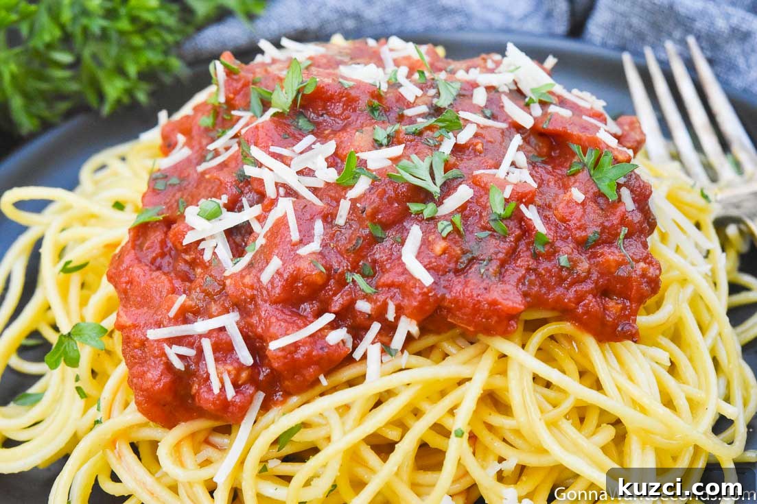 This handy list of robust no-fail spaghetti sauce recipes saves time and makes it easy for you to tour the delicious flavors of Italy with the fam! #SpaghettiSauce #SauceRecipes #Spaghetti #PastaSauce Spaghetti Meat Sauce poured over spaghetti, on a plate