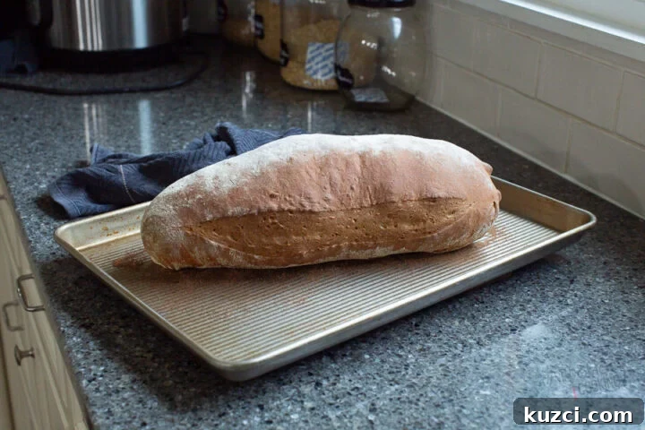 Baked Lithuanian bread
