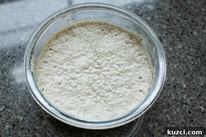 rye Poolish (sponge)