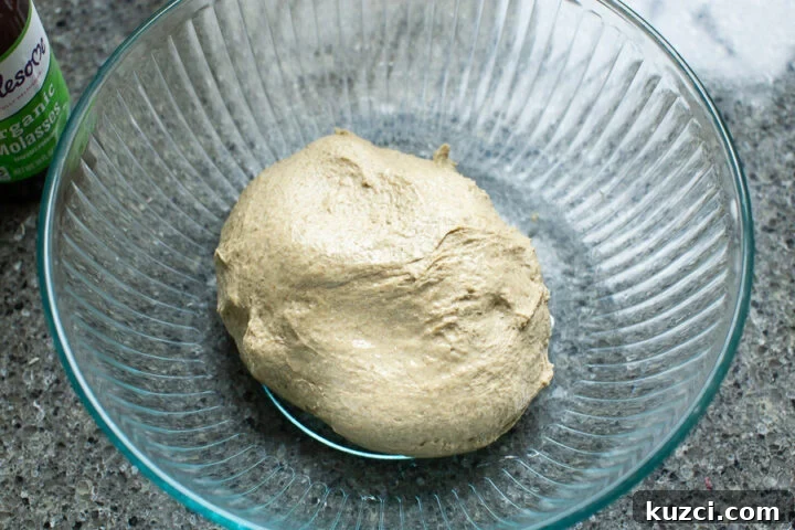 Lithuanian bread dough