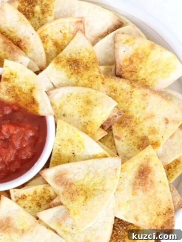 Homemade tortilla chips with salsa on a white plate.