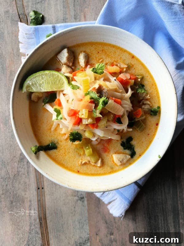 Thai Chicken Noodle Soup with Coconut Curry Broth 2 Thai chicken noodle soup