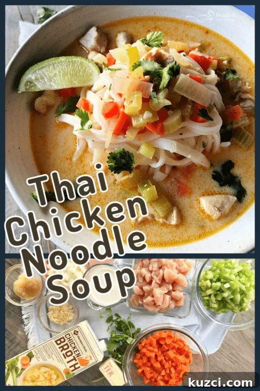 Thai Chicken Noodle Soup with Coconut Curry Broth 3 Thai chicken noodle soup recipe graphic