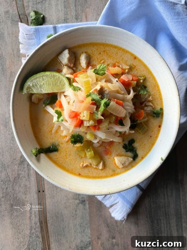 Thai Chicken Noodle Soup Recipe one bowl of Thai chicken noodle soup with lime