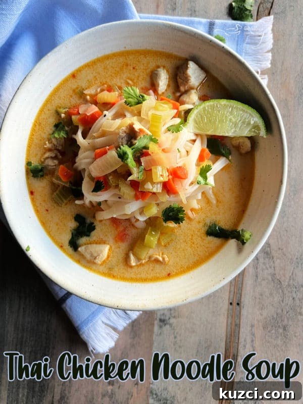 Thai Chicken Noodle Soup with Coconut Curry Broth 4 white bowl with Thai chicken noodle soup