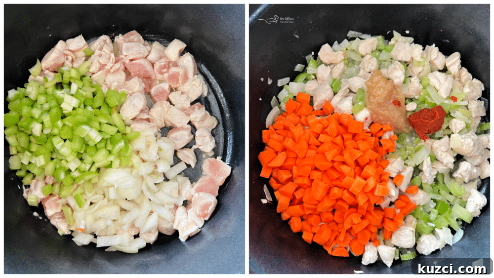 Thai Chicken Noodle Soup cooking process cooking chicken with carrots onions celery and curry paste