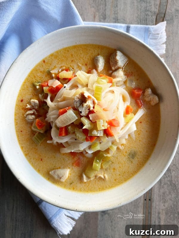 Thai Chicken Noodle Soup bowl white bowl filled with Asian chicken noodle soup and noodles