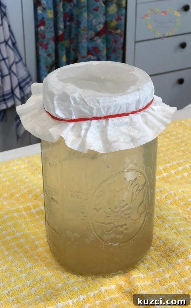 Water Kefir fermenting