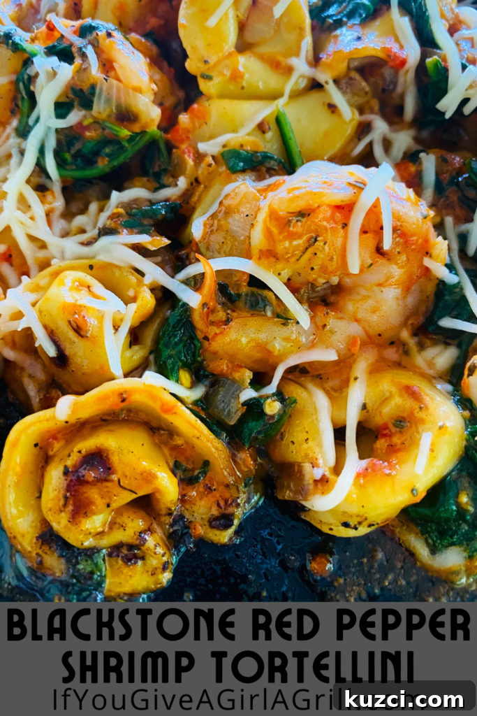 Blackstone Shrimp Tortellini with Red Pepper Sauce 17 Blackstone Red Pepper Shrimp Tortellini