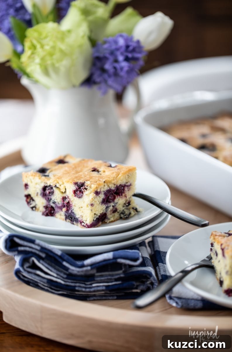 Moist Blueberry Cake Recipe with Lemon Glaze 11 easy blueberry cake recipe