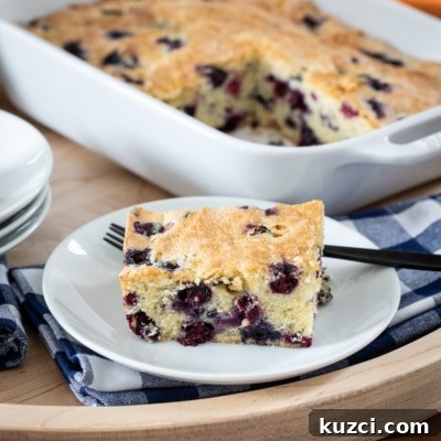 Blueberry Cake