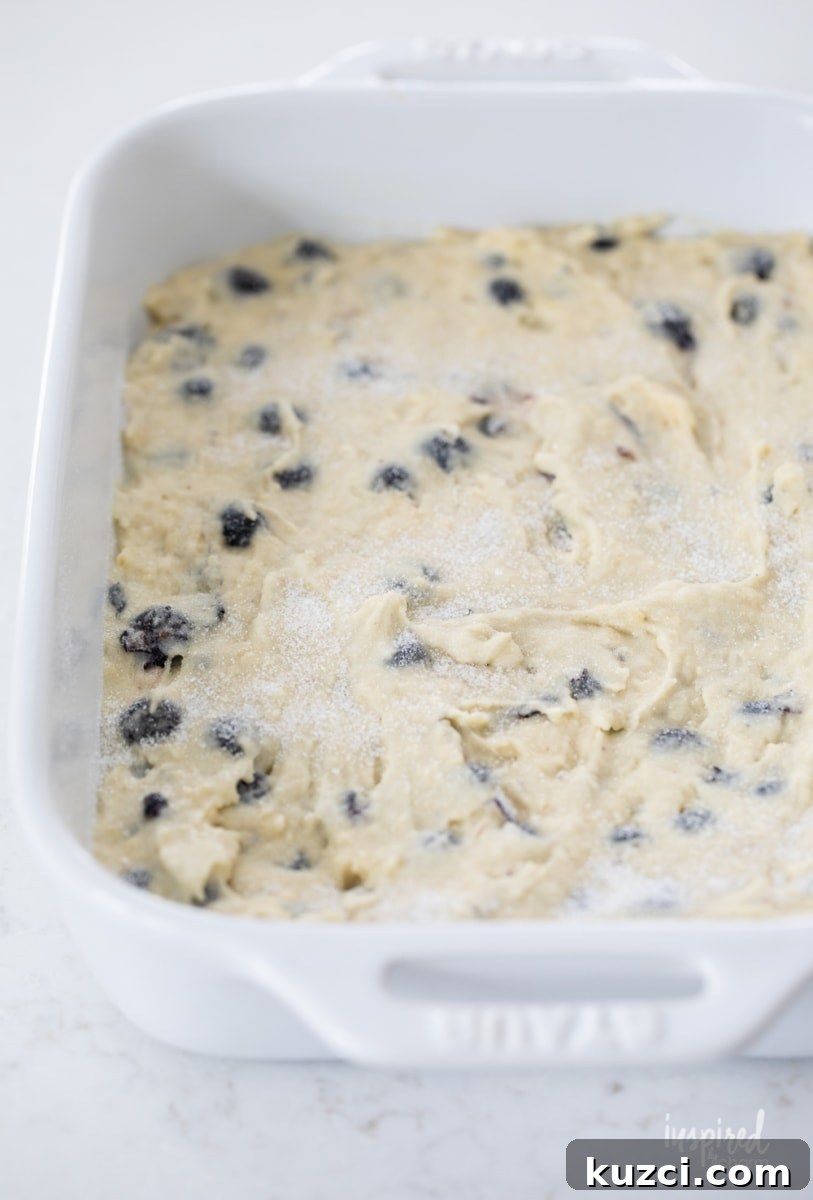 Moist Blueberry Cake Recipe with Lemon Glaze 7 topping unbaked dessert with white sugar