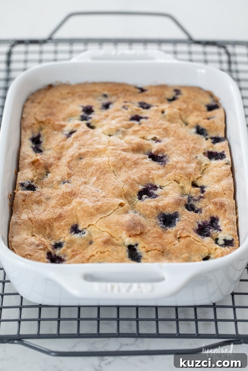 Moist Blueberry Cake Recipe with Lemon Glaze 8 fresh baked homemade blueberry cake