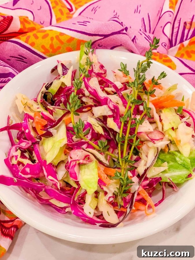 Southern Cabbage Recipes on The Soul Food Pod Episode 3 6 Is it possible to substitute red cabbage for green cabbage?