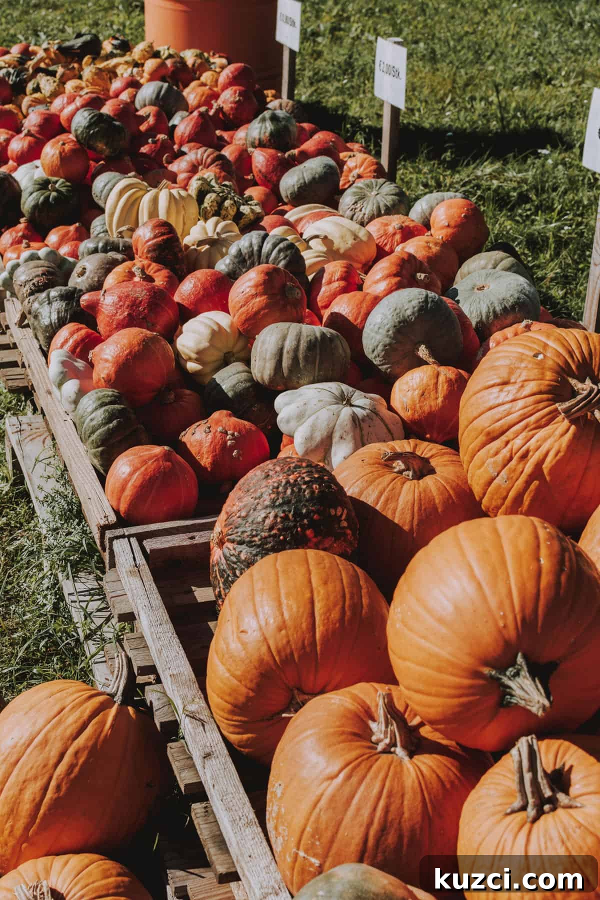 Variety of different pumpkins in large wooden crates for sale at a farmstand.
