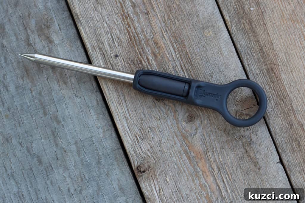Yummly Smart Thermometer Review Features Accuracy and Setup 6 img 29967 5