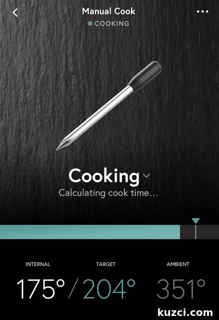 Yummly Smart Thermometer Review Features Accuracy and Setup 9 img 29967 8