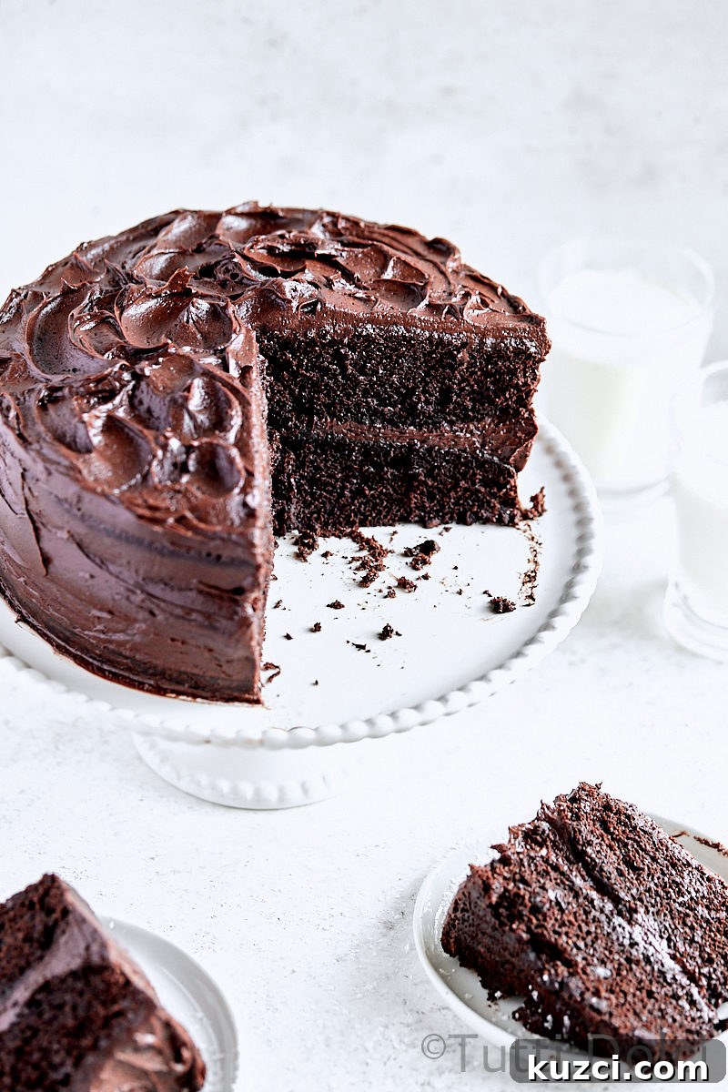 Moist Classic Chocolate Layer Cake Recipe 2 Classic Chocolate Layer Cake