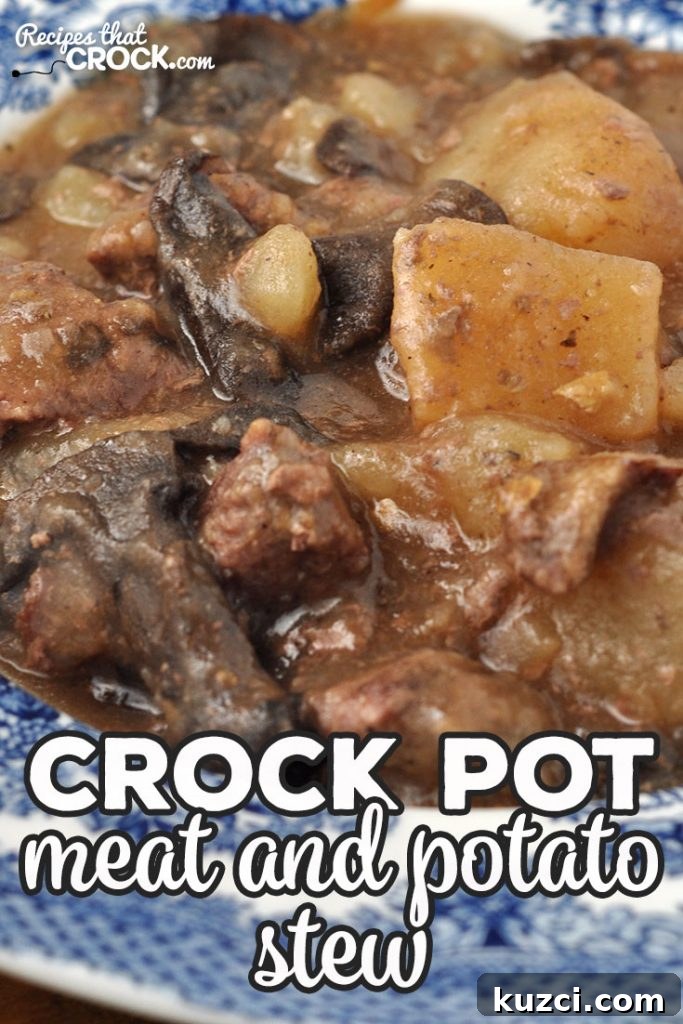 Crock Pot Meat and Potato Stew Recipe 4 Hearty Crock Pot Meat and Potato Stew served with tender beef and potatoes
