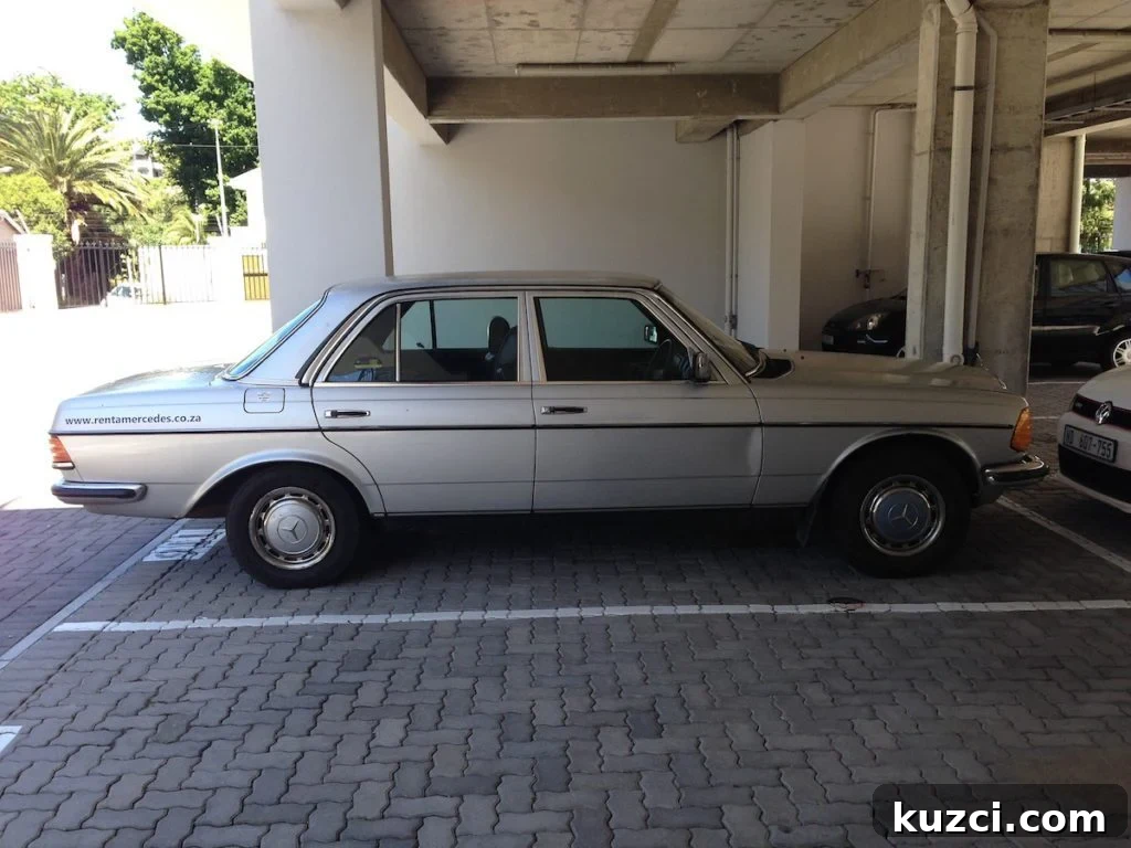 One Day in Rondebosch Cape Town Travel Guide 11 car