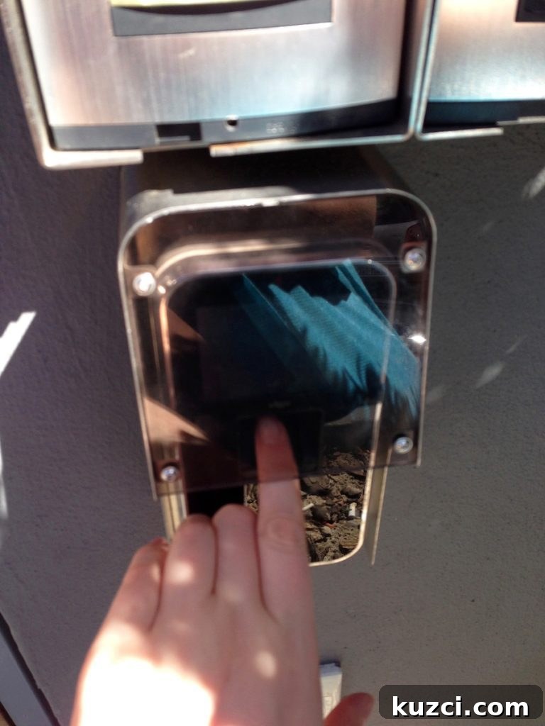 One Day in Rondebosch Cape Town Travel Guide 4 fingerprint scanner