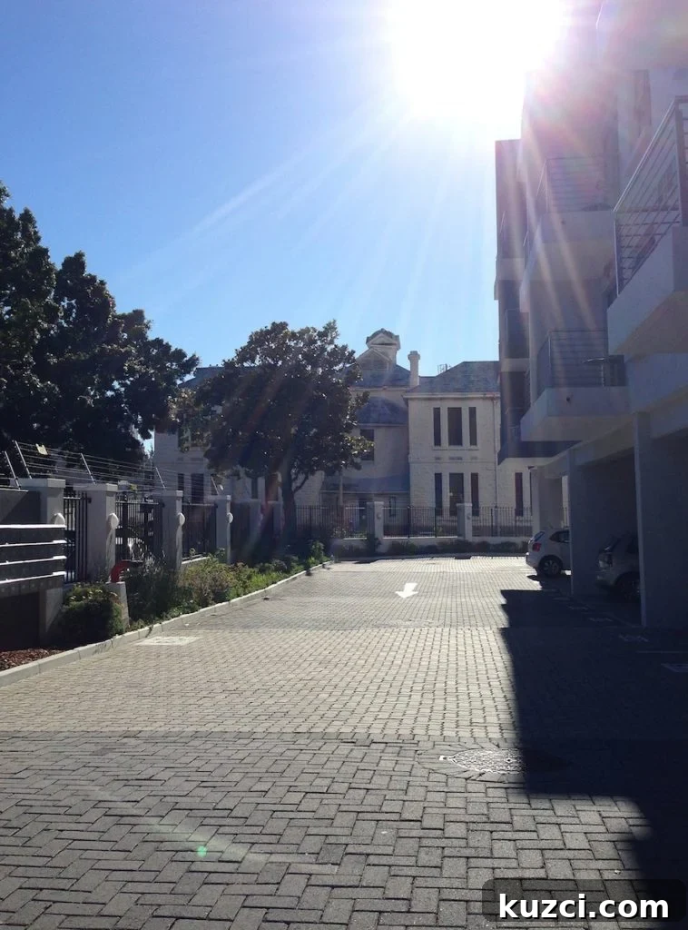One Day in Rondebosch Cape Town Travel Guide 5 library view