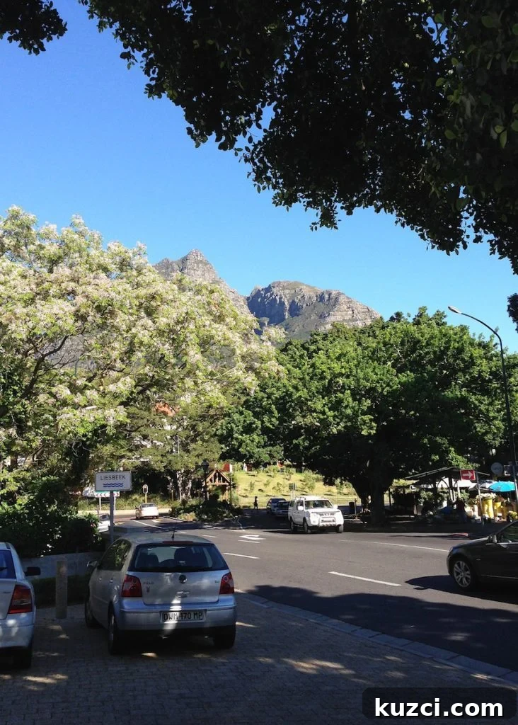 One Day in Rondebosch Cape Town Travel Guide 6 view from lot