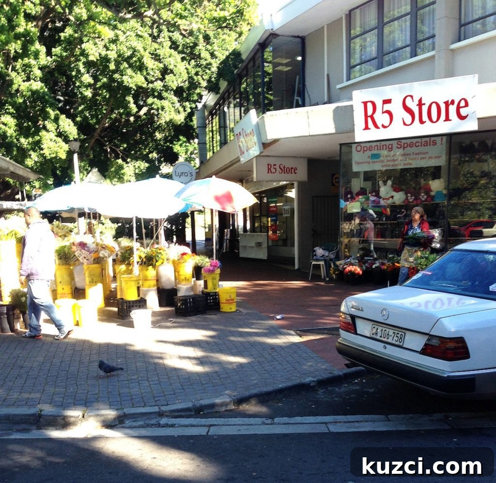 One Day in Rondebosch Cape Town Travel Guide 7 flowers and r5