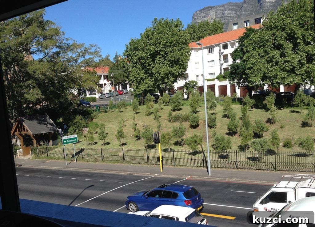 One Day in Rondebosch Cape Town Travel Guide 8 gym view