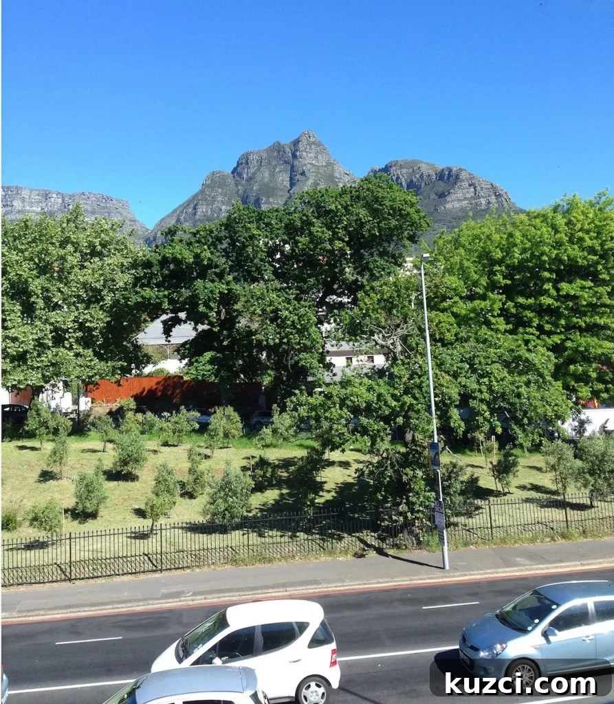 One Day in Rondebosch Cape Town Travel Guide 9 view from gym 1