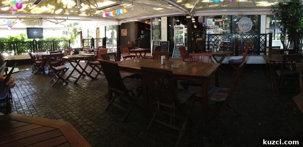 One Day in Rondebosch Cape Town Travel Guide 10 lyras