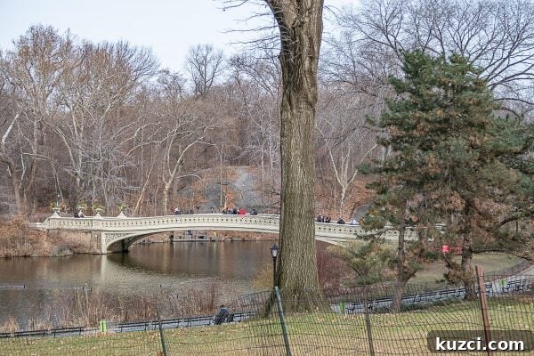 What to do in the Upper West Side | Bow Bridge in Central Park What to do in the Upper West Side | Bow Bridge in Central Park