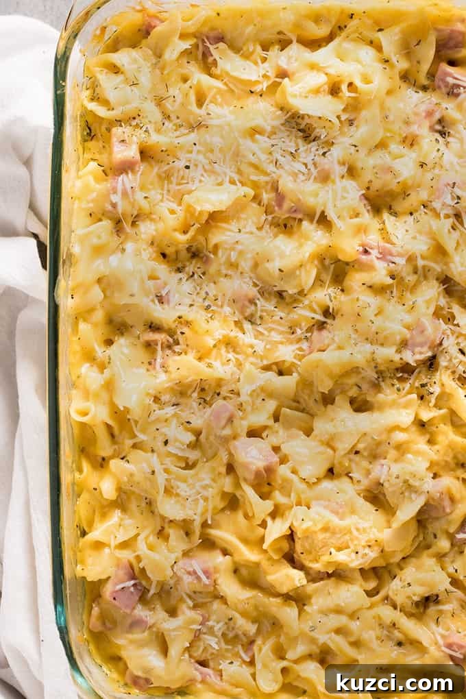 Creamy Ham and Noodle Casserole Recipe 2 ham and noodle casserole