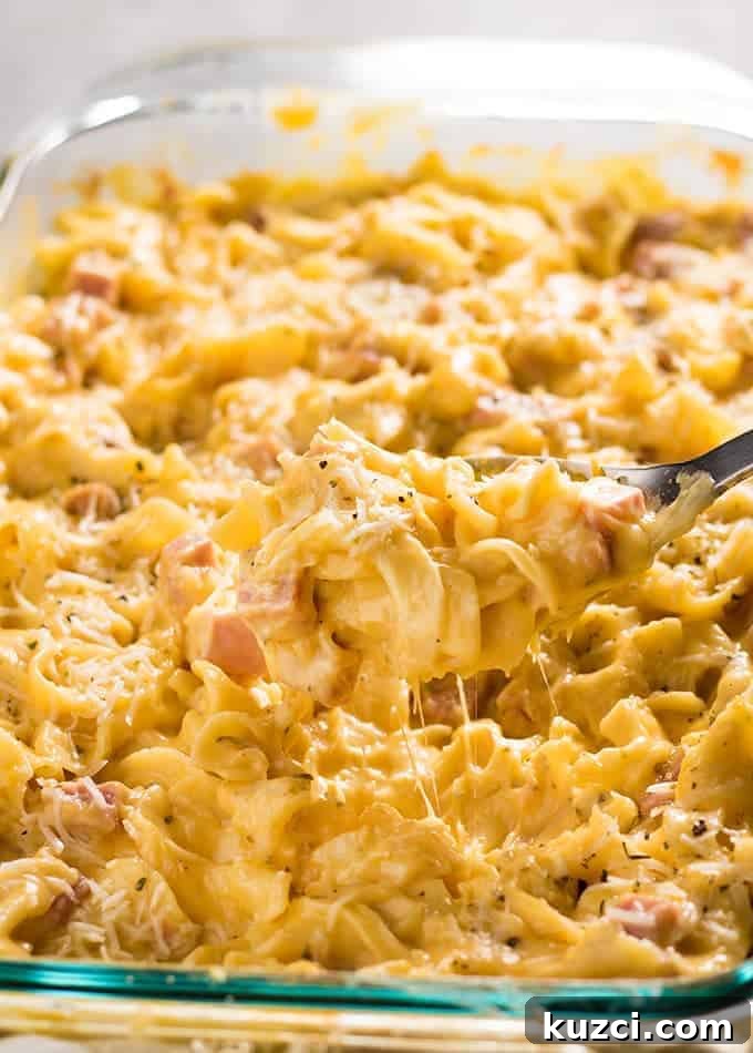 Creamy Ham and Noodle Casserole Recipe 3 ham and noodle casserole