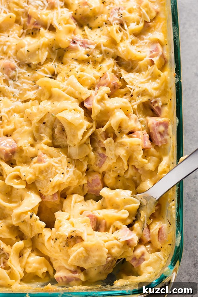 Creamy Ham and Noodle Casserole Recipe 4 ham and noodle casserole