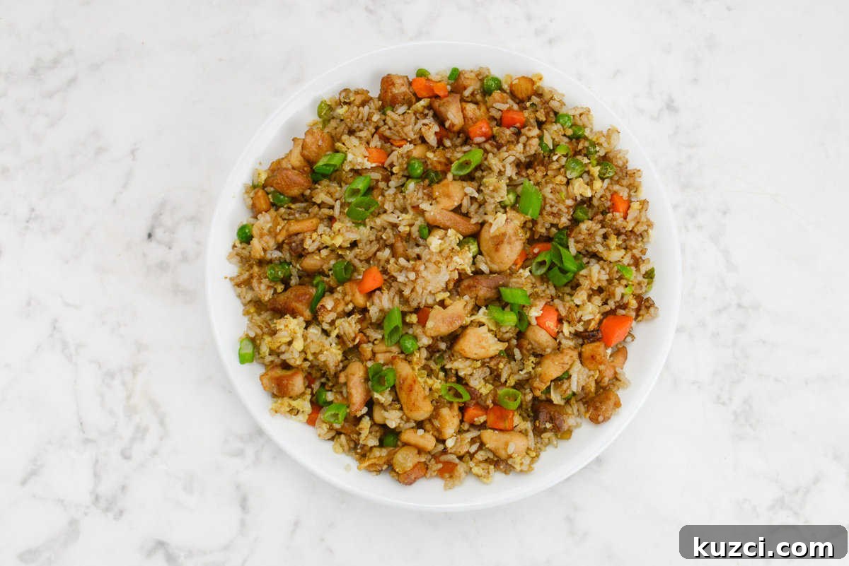 Blackstone Chicken Fried Rice Recipe 13 garnished and plated blackstone chicken fried rice