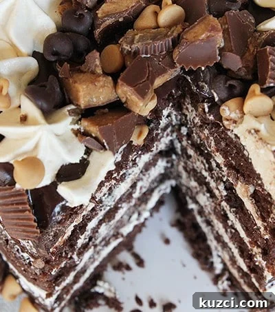 Peanut Butter Chocolate Layer Cake - a peanut butter lovers' dream cake! Layers of fluffy chocolate cake, creamy peanut butter buttercream, and rich chocolate ganache!