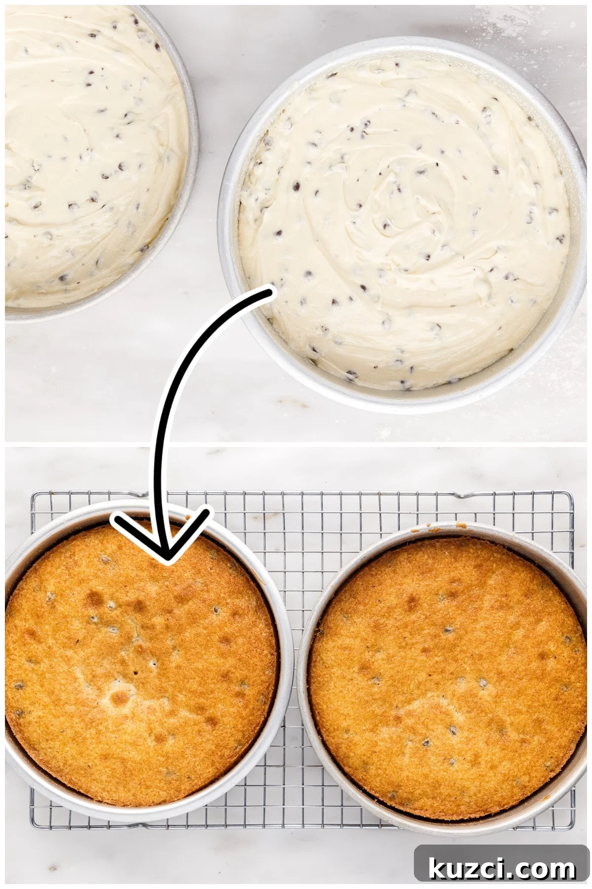 Moist Chocolate Chip Cake Recipe 9 Poured the batter into 2 circular baking pans and then baked until golden brown.