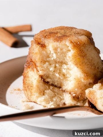 snickerdoodle mug cake on white plate