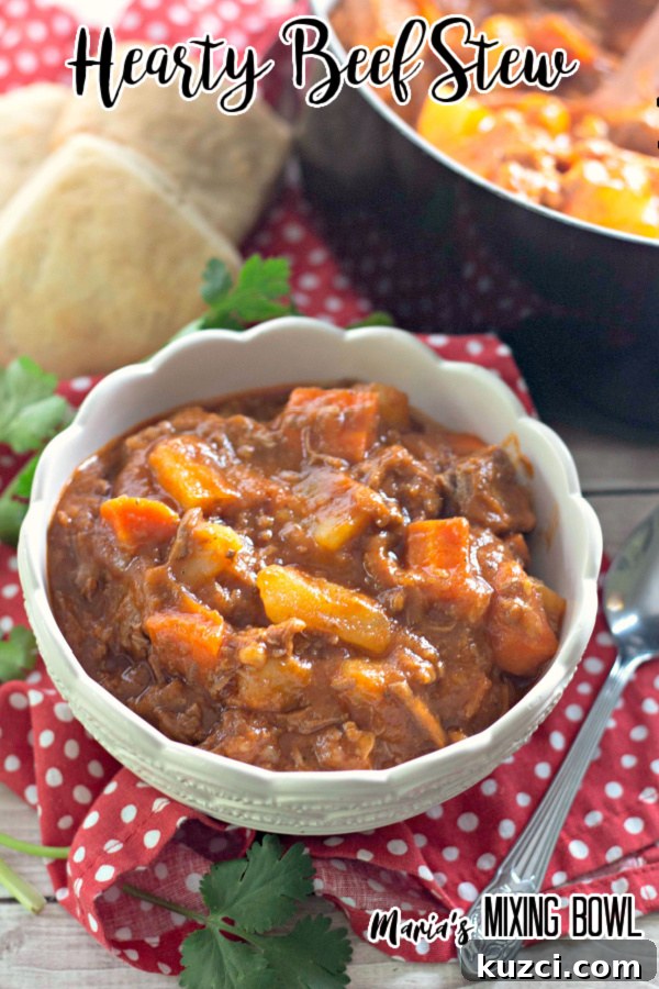 Hearty Beef Stew in bowl