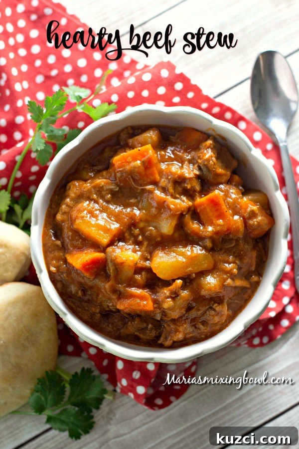 hearty beef stew closeup