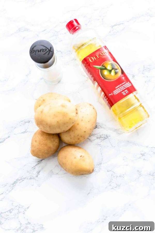 Crispy Air Fryer Patatas Bravas with Spicy Tomato Sauce 4 Ingredients for making patatas bravas in an Air Fryer.