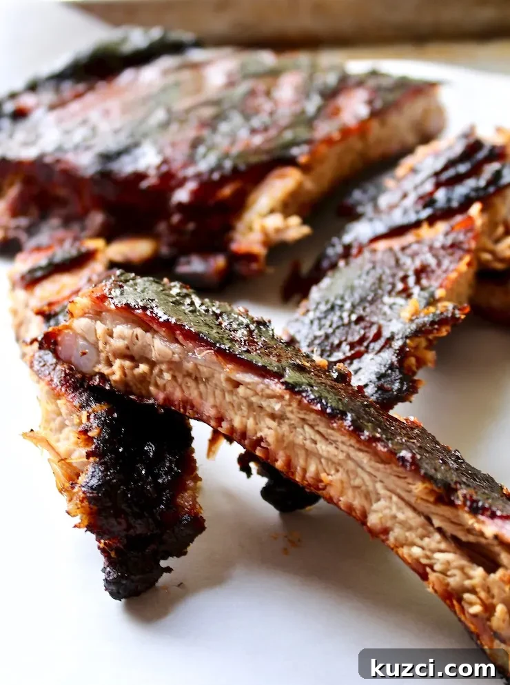 St. Louis style BBQ ribs, close up of single rib section.
