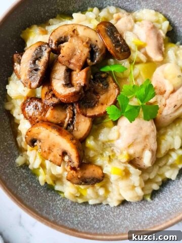 A bowl of creamy risotto