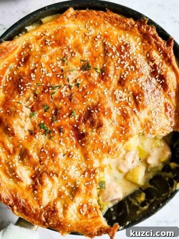 golden flaky chicken and leek pot pie