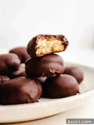 Chocolate covered cookies stacked on a plate.